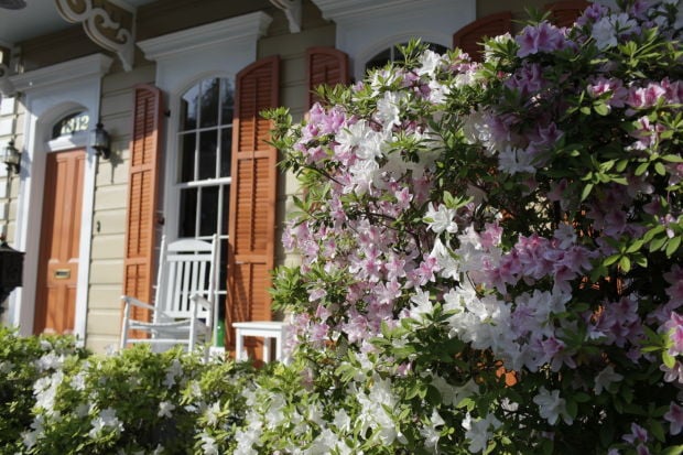 New Orleans Garden District